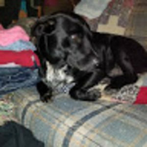 Meet your Posher, Tanya